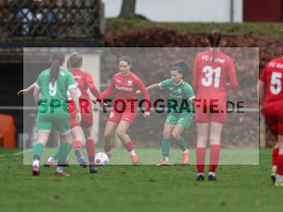 Bild-ID: 2527947