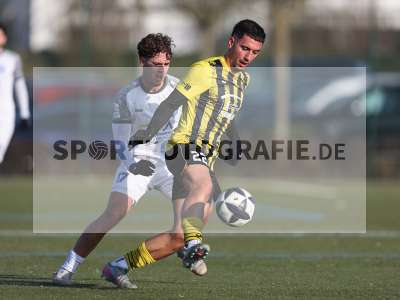 Bild-ID: 2531847