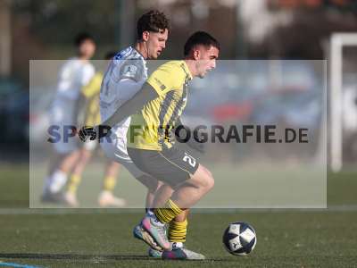 Bild-ID: 2531852