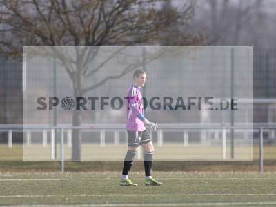 Bild-ID: 2532103