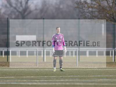 Bild-ID: 2532186