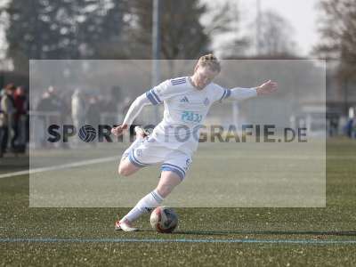 Bild-ID: 2532300