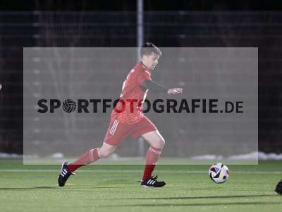 Bild-ID: 2535179