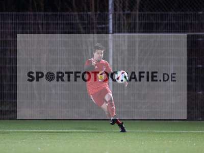 Bild-ID: 2535219