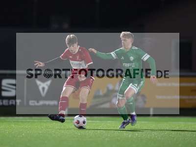 Bild-ID: 2535980