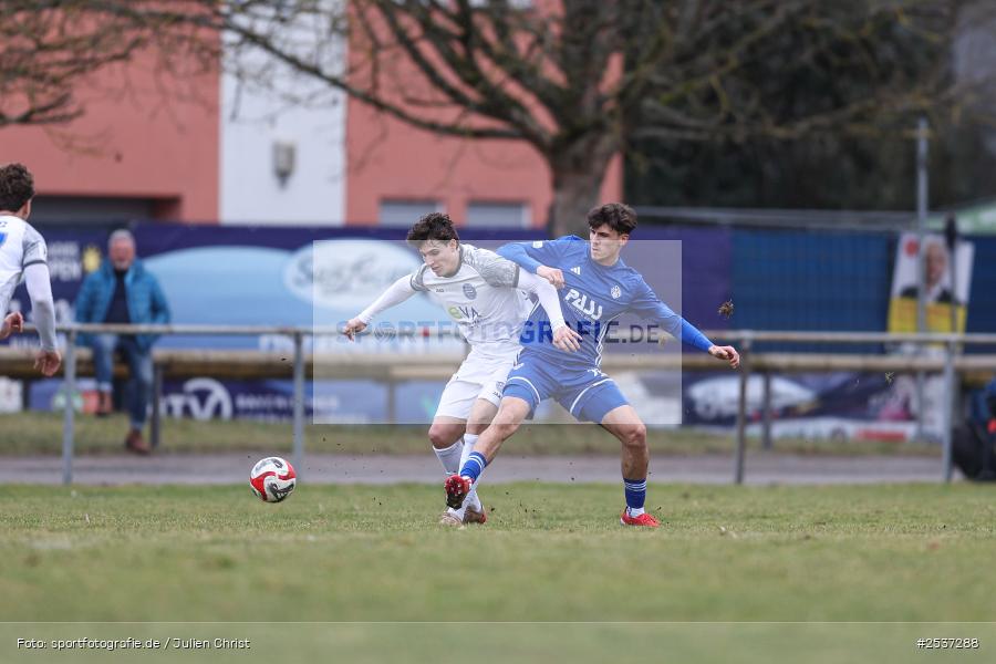 sport, Sportanlage Am Schönbusch, SV Viktoria Aschaffenburg, Regionalliga Südwest, Regionallia Bayern, Landesfreundschaftsspiele, Fussball, FC Bayern Alzenau, BFV, Aschaffenburg, 21.02.2026 - Bild-ID: 2537288