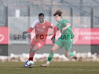 Bild-ID: 2537784