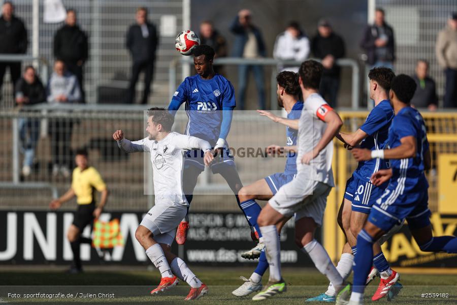 sport, TSV Schwaben Augsburg, Stadion am Schönbusch, SV Viktoria Aschaffenburg, Regionalliga Bayern, Fussball, BFV, Aschaffenburg, 28.02.2026, 21. Spieltag - Bild-ID: 2539182