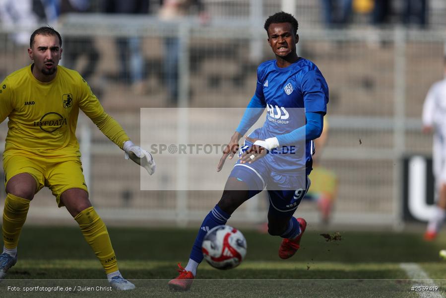 sport, TSV Schwaben Augsburg, Stadion am Schönbusch, SV Viktoria Aschaffenburg, Regionalliga Bayern, Fussball, BFV, Aschaffenburg, 28.02.2026, 21. Spieltag - Bild-ID: 2539419