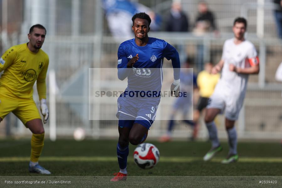 sport, TSV Schwaben Augsburg, Stadion am Schönbusch, SV Viktoria Aschaffenburg, Regionalliga Bayern, Fussball, BFV, Aschaffenburg, 28.02.2026, 21. Spieltag - Bild-ID: 2539420