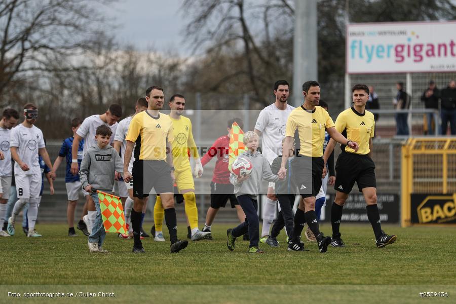 sport, TSV Schwaben Augsburg, Stadion am Schönbusch, SV Viktoria Aschaffenburg, Regionalliga Bayern, Fussball, BFV, Aschaffenburg, 28.02.2026, 21. Spieltag - Bild-ID: 2539436