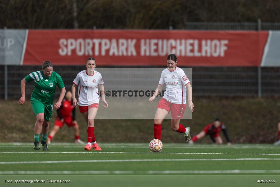 sport, Würzburg, Landesfreundschaftsspiele, KRE-Sportpark Heuchelhof, Fussball, FC Würzburger Kickers, FC Ezelsdorf, BFV, 01.03.2026 - Bild-ID: 2539656