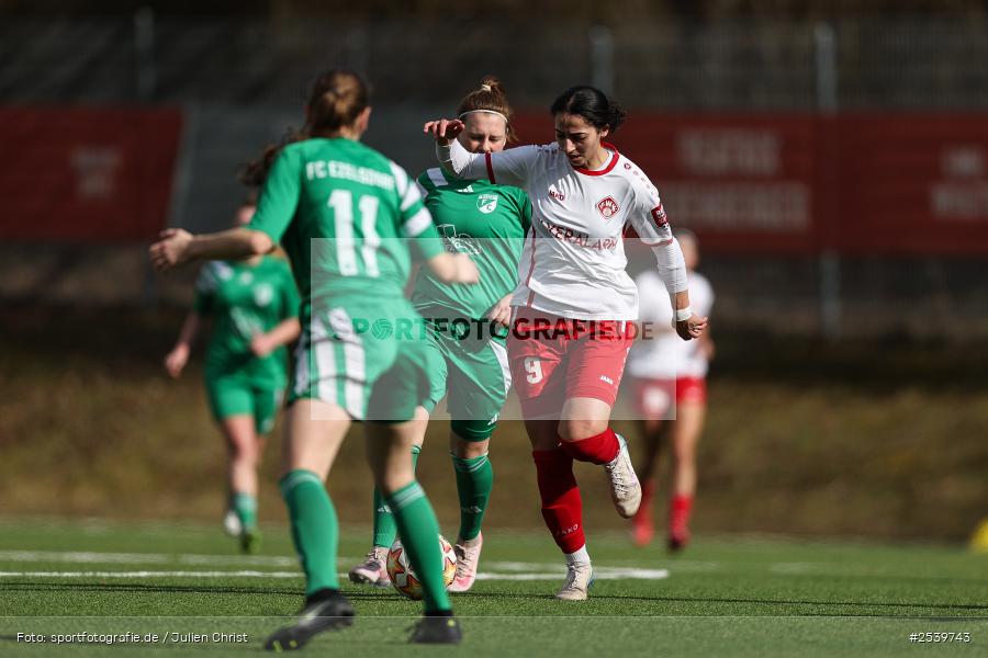 sport, Würzburg, Landesfreundschaftsspiele, KRE-Sportpark Heuchelhof, Fussball, FC Würzburger Kickers, FC Ezelsdorf, BFV, 01.03.2026 - Bild-ID: 2539743
