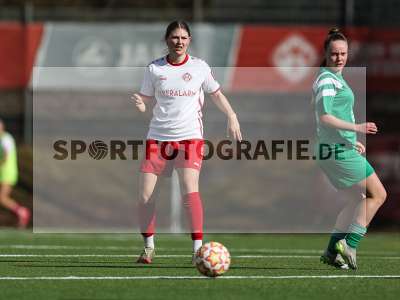Bild-ID: 2539609