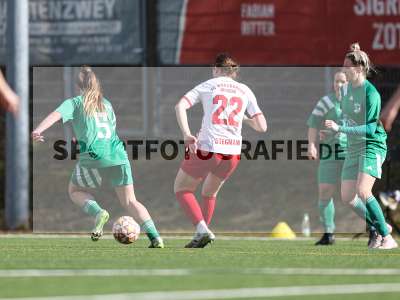Bild-ID: 2539631