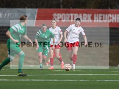 Bild-ID: 2539660