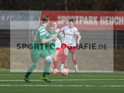 Bild-ID: 2539661