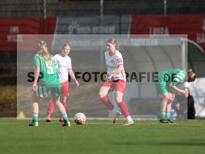 Bild-ID: 2539695