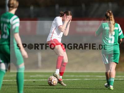 Bild-ID: 2539730