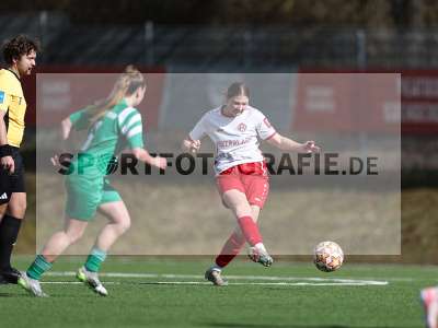 Bild-ID: 2539789