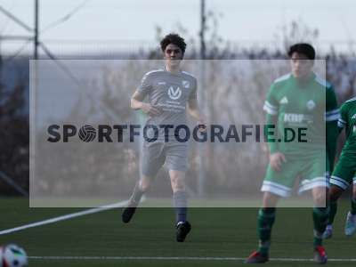 Bild-ID: 2540358