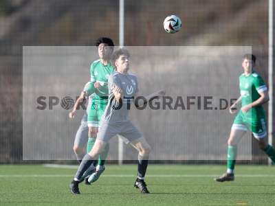 Bild-ID: 2540365