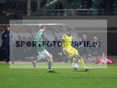 Bild-ID: 2540732