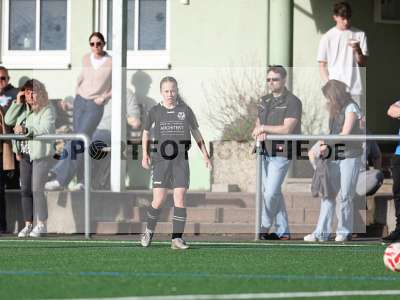 Fotos von SV 1928 Veitshöchheim - 1. FC Schweinfurt auf sportfotografie.de