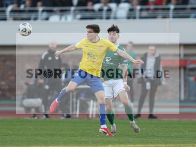 Bild-ID: 2550234