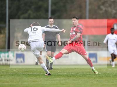 Bild-ID: 2552255