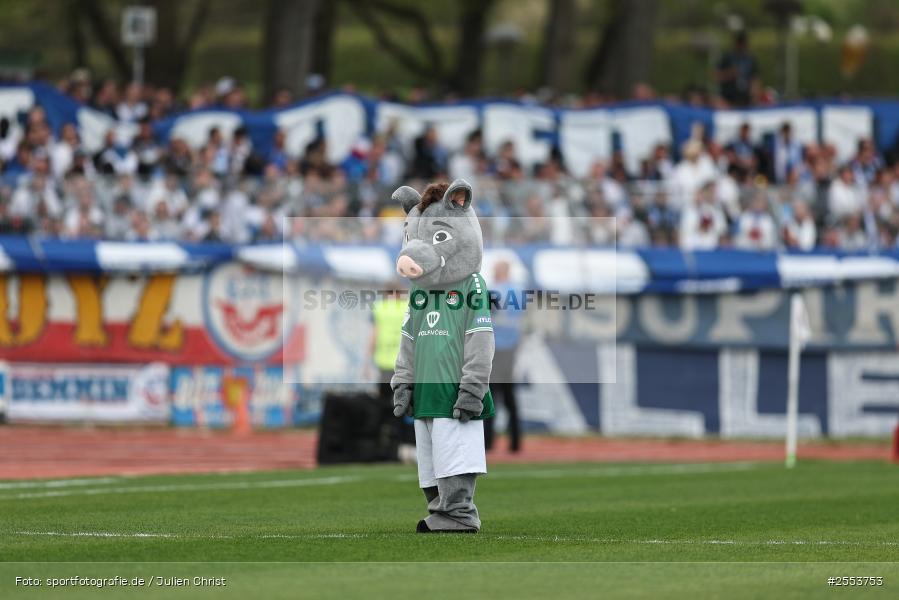 sport, Schweinfurt, Sachs-Stadion, Fussball, F.C. Hansa Rostock, DFB, 34. Spieltag, 3. Liga, 18.04.2026, 1. FC Schweinfurt 1905 - Bild-ID: 2553753