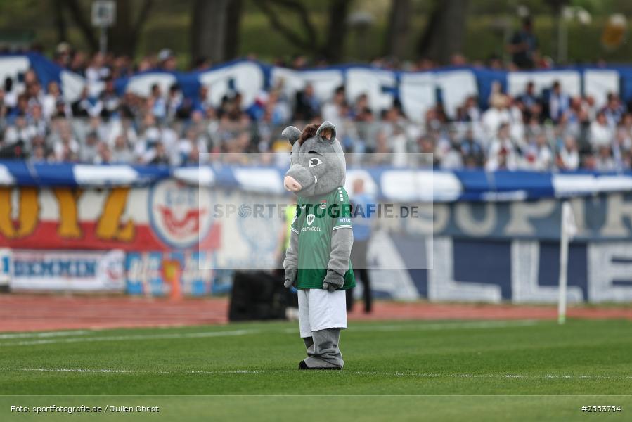 sport, Schweinfurt, Sachs-Stadion, Fussball, F.C. Hansa Rostock, DFB, 34. Spieltag, 3. Liga, 18.04.2026, 1. FC Schweinfurt 1905 - Bild-ID: 2553754