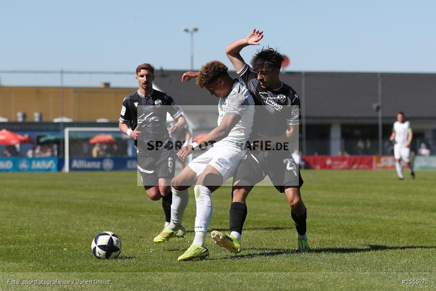 MAIREC-Arena, Alzenau, 25.04.2026, sport, RLS, Fussball, 31. Spieltag, Regionalliga Südwest, SV Sandhausen, FC Bayern Alzenau - Bild-ID: 2555772