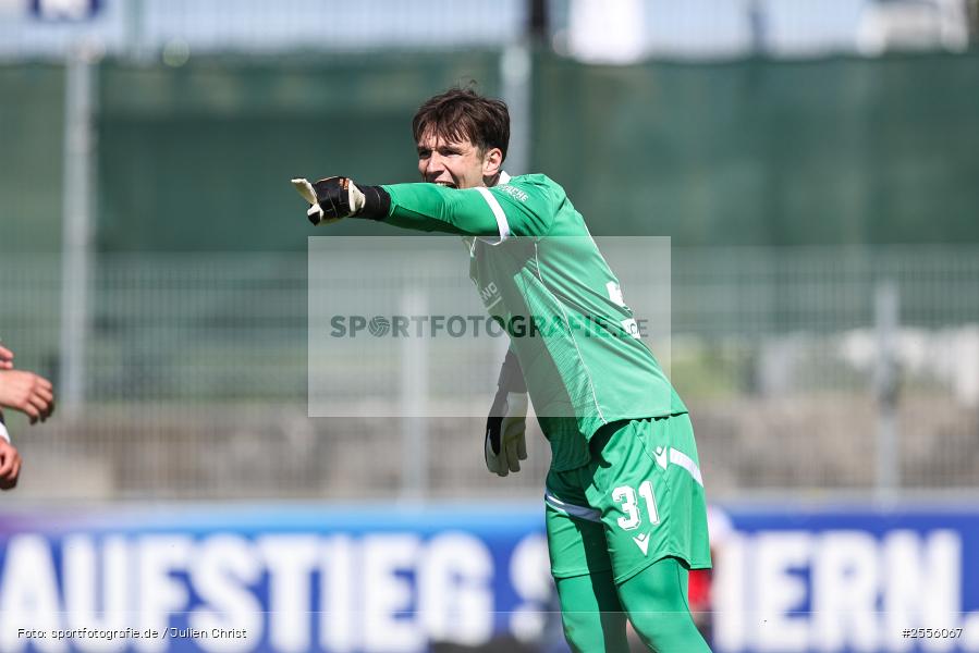sport, SV Sandhausen, Regionalliga Südwest, RLS, MAIREC-Arena, Fussball, FC Bayern Alzenau, Alzenau, 31. Spieltag, 25.04.2026 - Bild-ID: 2556067