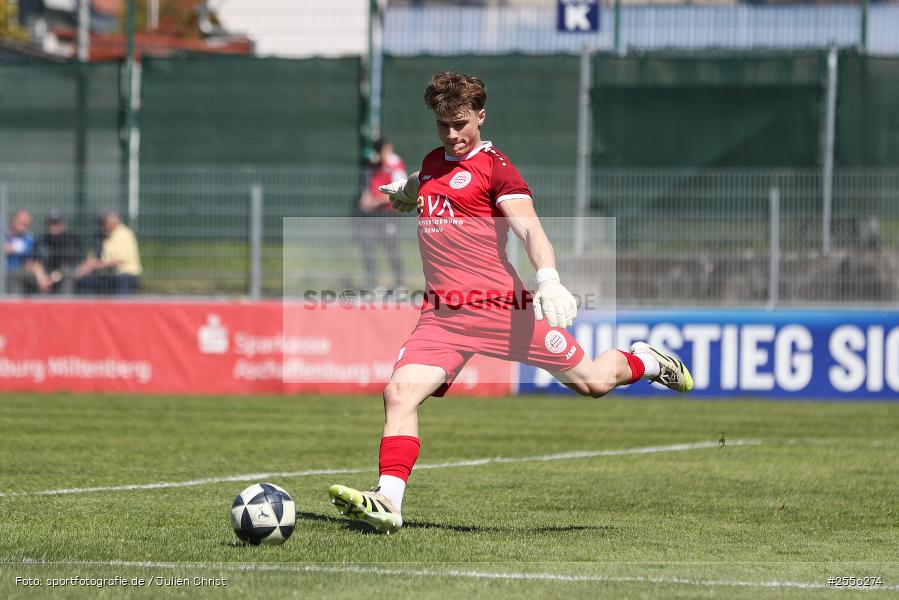 sport, SV Sandhausen, Regionalliga Südwest, RLS, MAIREC-Arena, Fussball, FC Bayern Alzenau, Alzenau, 31. Spieltag, 25.04.2026 - Bild-ID: 2556274
