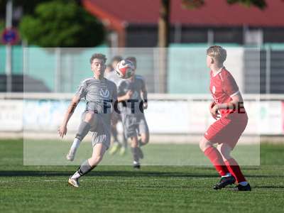 Bild-ID: 2557069