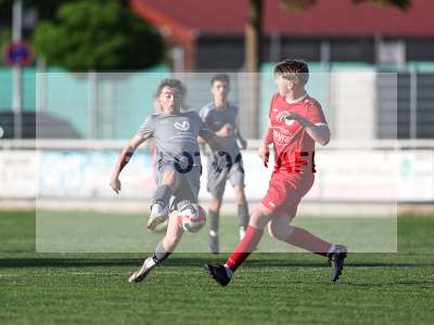 Bild-ID: 2557073