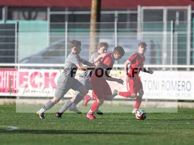 Bild-ID: 2557117