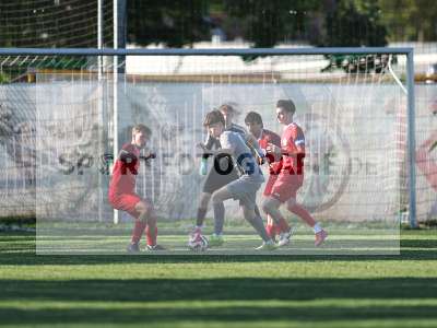 Bild-ID: 2557129