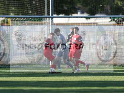 Bild-ID: 2557130