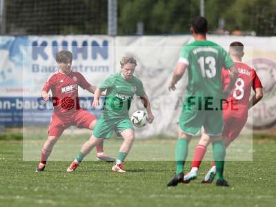 Bild-ID: 2557185