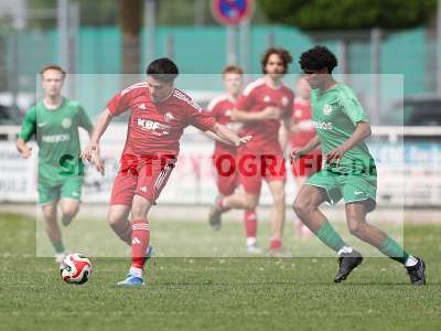 Bild-ID: 2557199
