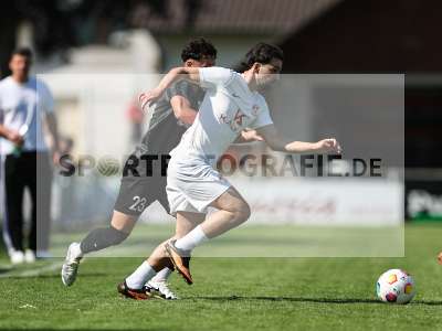 Bild-ID: 2557278