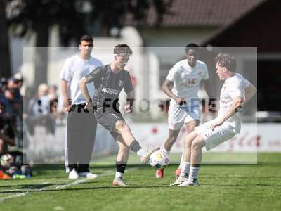 Bild-ID: 2557313