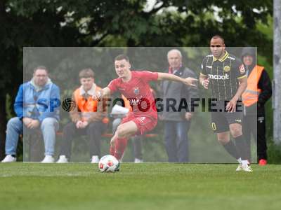 Bild-ID: 2557742