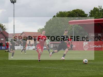 Bild-ID: 2557887