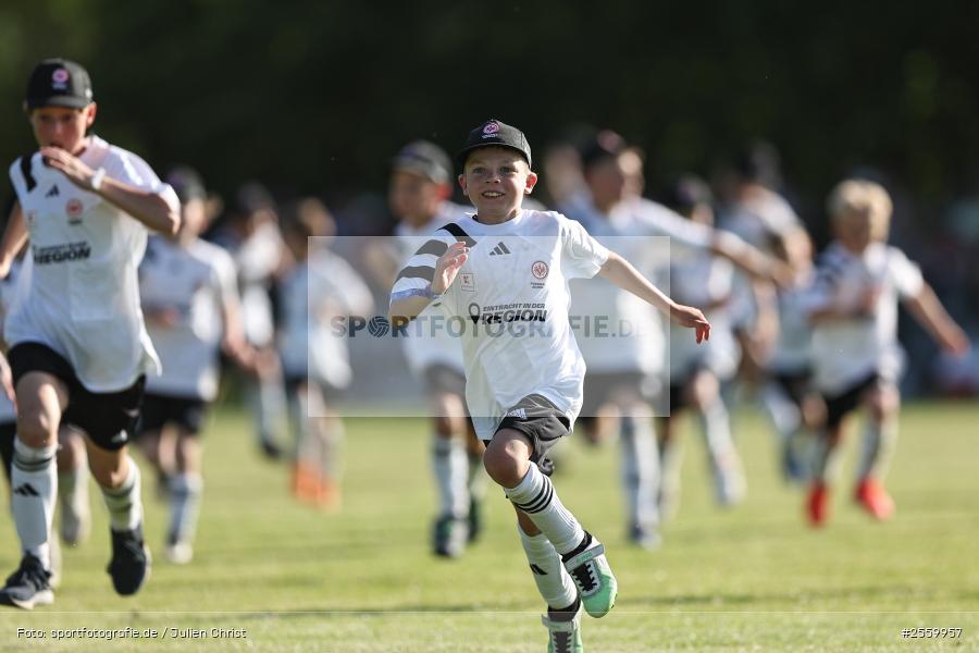 sport, TSV Himmelstadt, Sportgelände, Himmelstadt, Fussball, Eintracht in der Region, Eintracht Frankfurt Traditionsmannschaft, 29.05.2026 - Bild-ID: 2559957
