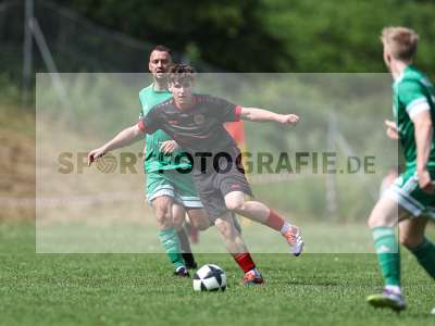 Bild-ID: 2559029