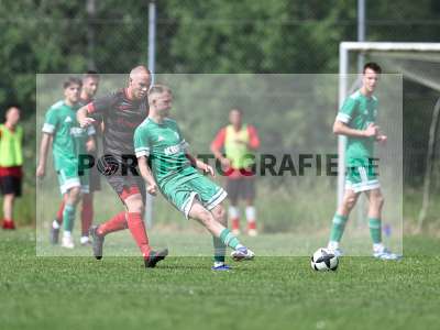 Bild-ID: 2559039
