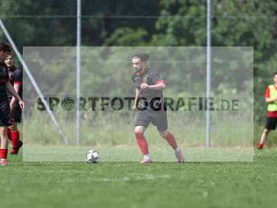 Bild-ID: 2559040